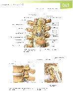 Sobotta  Atlas of Human Anatomy  Trunk, Viscera,Lower Limb Volume2 2006, page 52